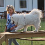 ziva