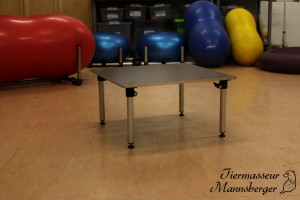 Tisch2