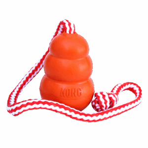 KONG® Aqua