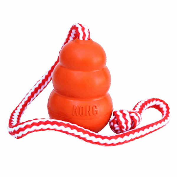 KONG® Aqua