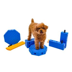 FitPAWS® FitKinect Core