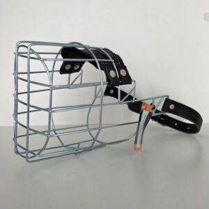 CHOPO Airedale Rüde