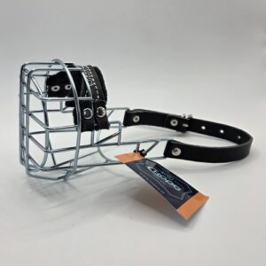 CHOPO American Cocker Hündin