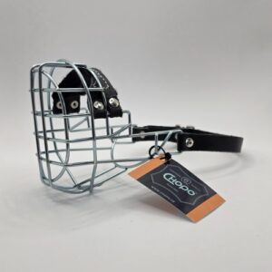 CHOPO American Cocker Rüde