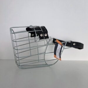 CHOPO Dobermann Rüde