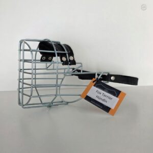 CHOPO Fox Terrier Hündin