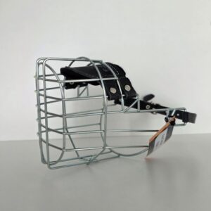 CHOPO Fox Terrier Rüde