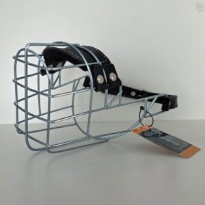 CHOPO Labrador Hündin