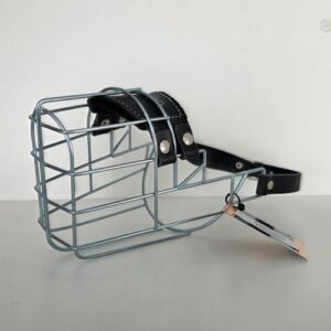 CHOPO Malinois Hündin