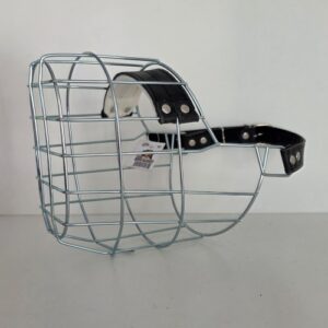 SF Berner Sennenhund Hündin