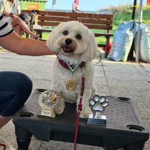 Hundeturnen Turnier Leni